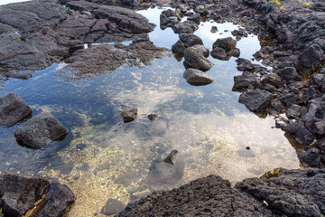 Volcanic Coastline of Hawaii at Low Tide - Powered by Adobe