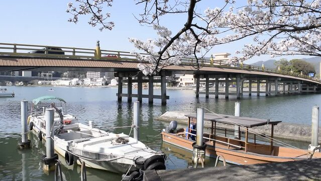 春の瀬田唐橋と瀬田川の風景、桜と瀬田の唐橋、滋賀県大津市の春の町並み