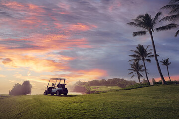 Fototapeta premium Golf place with gorgeous green and palm tree over blue sky with ocean view.
