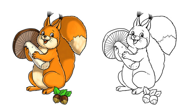 Cute funny squirrel for coloring. Template for a coloring book with funny animals. Colouring page for kids.