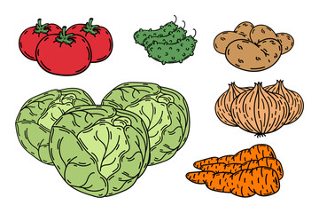 Set of vegetables clipart, tomatoes, cucumbers, potatoes, onions, carrots and cabbage. Isolated on white. Cartoon style. Stock vector illustration.
