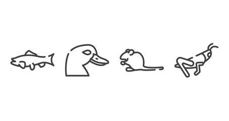 Obraz premium free animals outline icons set. thin line icons sheet included big salmon, duck head, sitting mouse, grasshopper sitting vector.