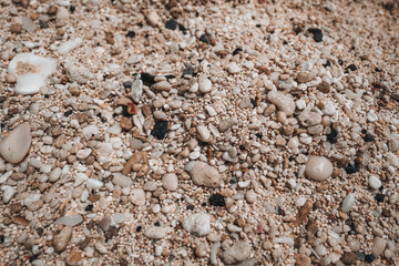 Texture of tiny beige beach pebbles. Natural background