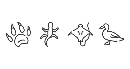 free animals outline icons set. thin line icons sheet included animal paw print, gecko, stingray with long tail, wild duck vector.