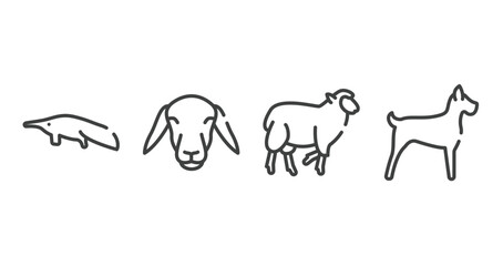 free animals outline icons set. thin line icons sheet included sitting anteater, female sheep head, black sheep, big dog vector.