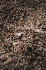 Dark brown natural texture of tiny beige beach pebbles. Vertical background