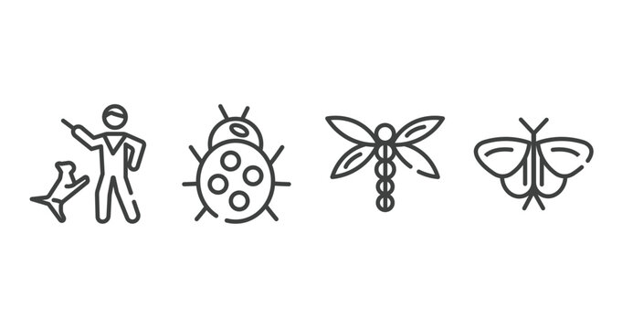insects outline icons set. thin line icons sheet included dog training, ladybug, dragon fly, moth vector.