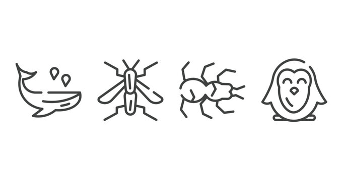 nature outline icons set. thin line icons sheet included whale, wasp, tarantula, penguin vector.