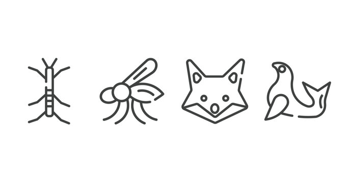 nature outline icons set. thin line icons sheet included stick insect, mosquito, fox, seal vector.