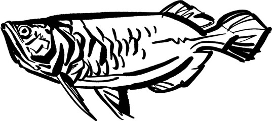 vector illustration drawing of a sketch of a fish