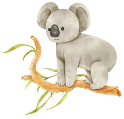 koala on eucalyptus tree watercolor illustration © b.illustrations