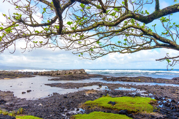 Tranquil Hawaiian Beach Landscape