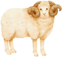 Sheep watercolor farm animals