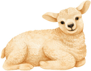 Baby Sheep watercolor farm animals