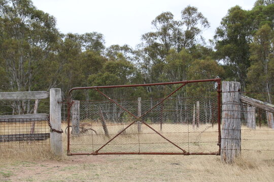 gate in a paddock