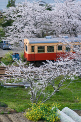 桜咲くレトロな駅舎と列車　小湊鉄道　高滝駅