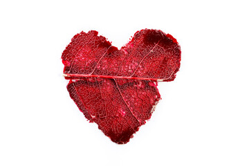 Red paint heart with leaf skeleton pattern, macro