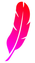 illustration of a pink feathers and white background