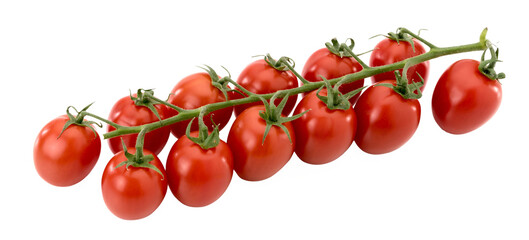 Bunch of Principe Borghese red cherry tomatoes , datterino type isolated