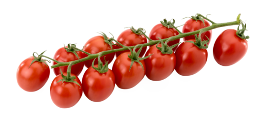 Bunch of Principe Borghese red cherry tomatoes , datterino type isolated