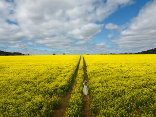 Woman in a field of yellow flowering canola crop farm - 587947399