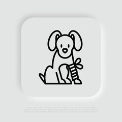 Dog in bandage with broken leg. Thin line icon. Veterinary clinic. Vector illustration.