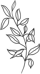 hand drawn floral elements.Floral line.