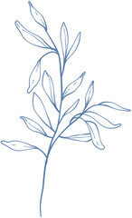 hand drawn floral elements.Floral line.