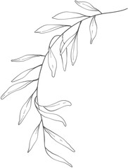 hand drawn floral elements.Floral line.