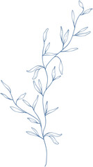 hand drawn floral elements.Floral line.