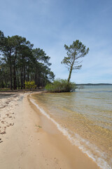 une petite plage en lisi&egrave;re de for&ecirc;t au bord du lac