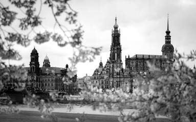 Dresden Königsufer im Frühling, bnw