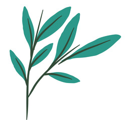 leaf vector