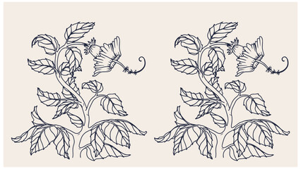 line art illustration of flower with leaves. for pattern, illustration or tattoo art