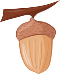 Acorn Seed for autumn fall season