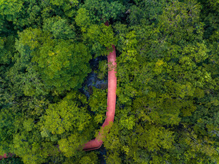 Aerial top view walkway in forest with trees and river