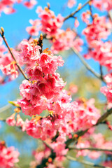  Bright sunny day