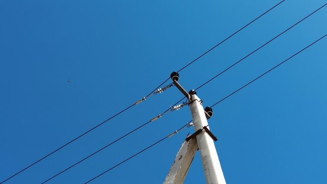 electric pole against a blue cloudless sky