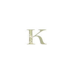 latter K logo or icon design