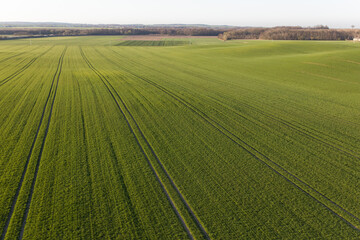 aerial view of the harvest fields