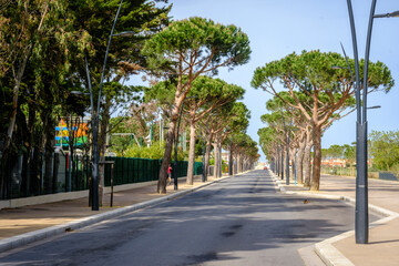 The road parallel to the beach in Les Barcares (France)