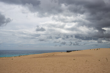 Desert and Atlantic ocean,, Corralejo, Spain