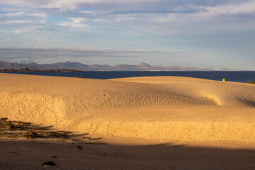 Fototapeta na wymiar Desert sand in the golden hour, Fuerteventura