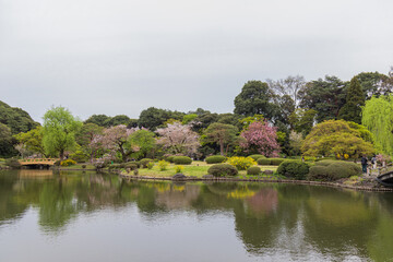 Fototapeta na wymiar Japanese garden and pond