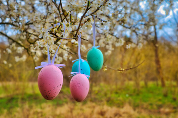 Ostern - Frühling - Natur - Froh