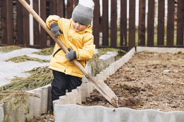 Cute little boy in yellow jacket and bright rubber boots in vegetable garden with big shovel. Child...