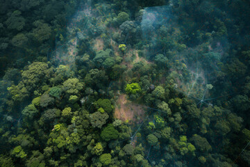 Fototapeta na wymiar Using satellite imagery to analyze forests and track deforestation helps us to monitor and combat the harmful effects of deforestation on our planet. Generative AI