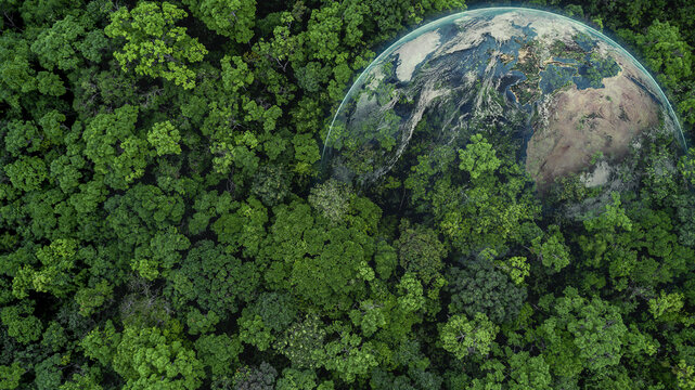 Aerial Top View Green Forest With Globe Earth, Green Planet In Your Hands, Save Earth, Texture Of Forest View From Above Ecosystem And Healthy Environment, Globe And Forest.