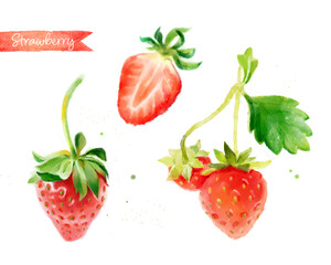 Strawberry hand-painted watercolor illustration set, whole berries and cut