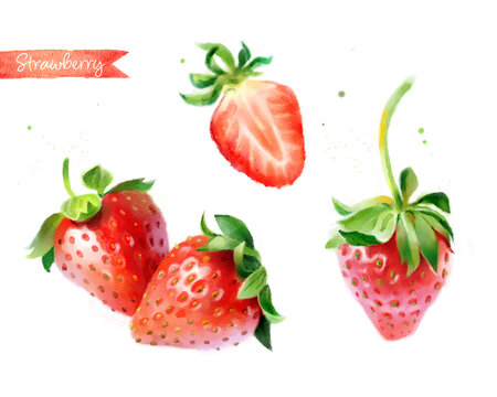 Strawberry hand-painted watercolor illustration set, whole berries and cut